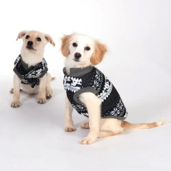 Pull-over norvégien pour chien